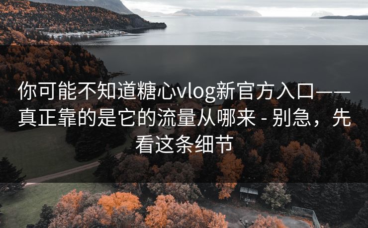 你可能不知道糖心vlog新官方入口——真正靠的是它的流量从哪来 - 别急，先看这条细节