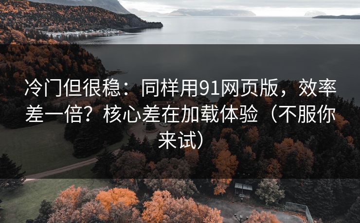 冷门但很稳：同样用91网页版，效率差一倍？核心差在加载体验（不服你来试）